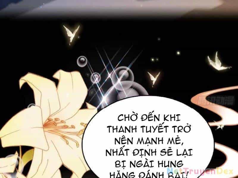 Hoá Ra Ta Đã Vô Địch Từ Lâu - Chương 226 - ảnh 81