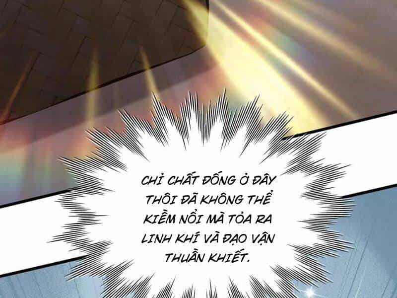 Hoá Ra Ta Đã Vô Địch Từ Lâu - Chương 227 - ảnh 59