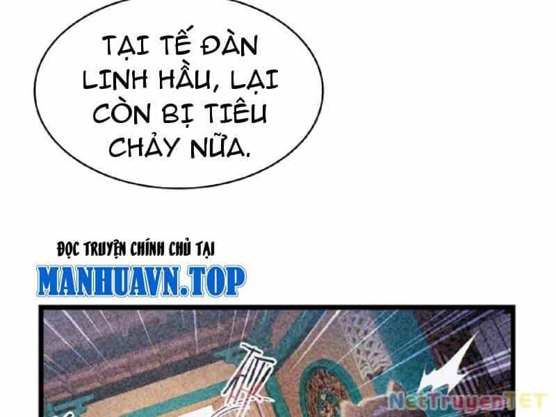 Hoá Ra Ta Đã Vô Địch Từ Lâu - Chương 234 - ảnh 59