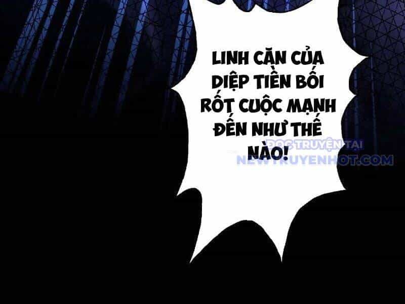 Hoá Ra Ta Đã Vô Địch Từ Lâu - Chương 241 - ảnh 15