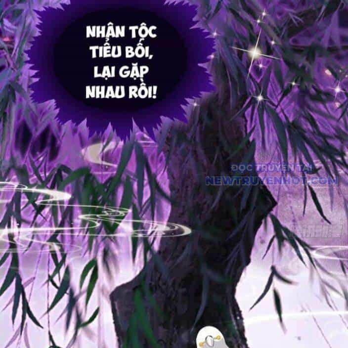 Hoá Ra Ta Đã Vô Địch Từ Lâu - Chương 250 - ảnh 52
