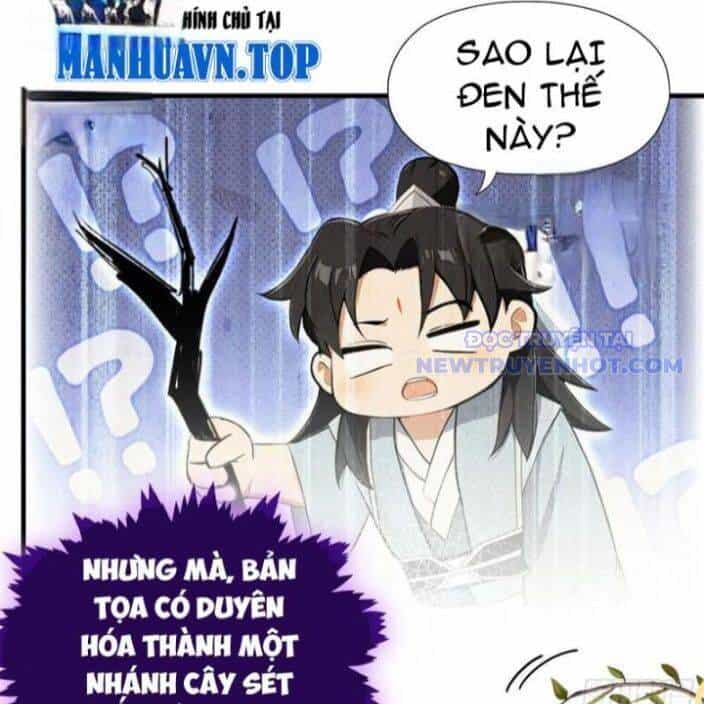 Hoá Ra Ta Đã Vô Địch Từ Lâu - Chương 250 - ảnh 70