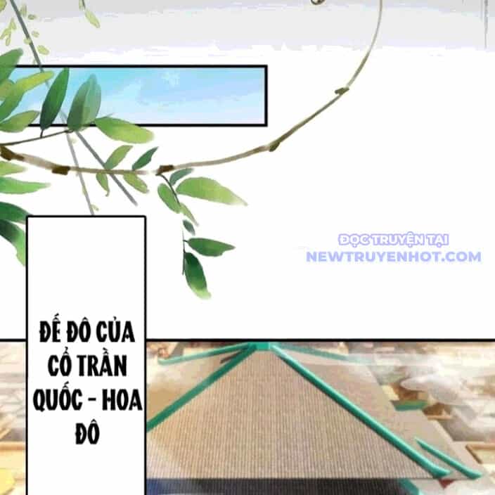 Hoá Ra Ta Đã Vô Địch Từ Lâu - Chương 260 - ảnh 6