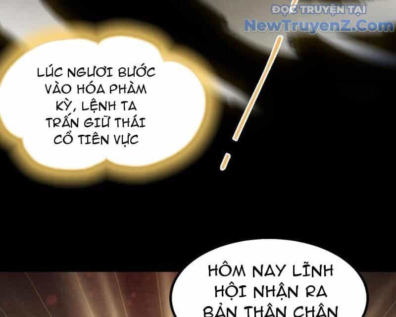 Hoá Ra Ta Đã Vô Địch Từ Lâu - Chương 294 - ảnh 90