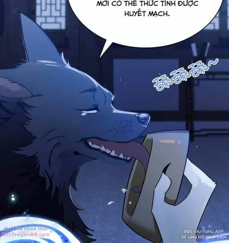 Hoá Ra Ta Đã Vô Địch Từ Lâu - Chương 6 - ảnh 31