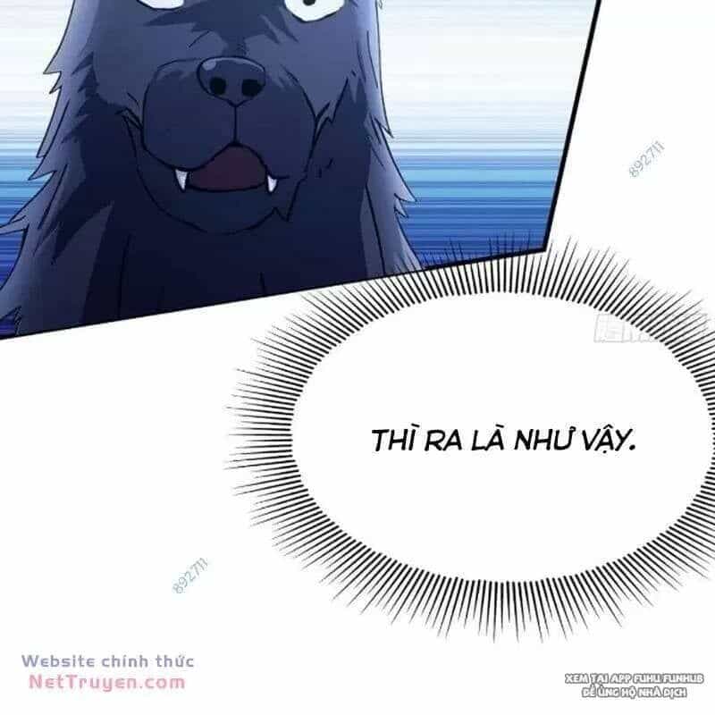 Hoá Ra Ta Đã Vô Địch Từ Lâu - Chương 69 - ảnh 21