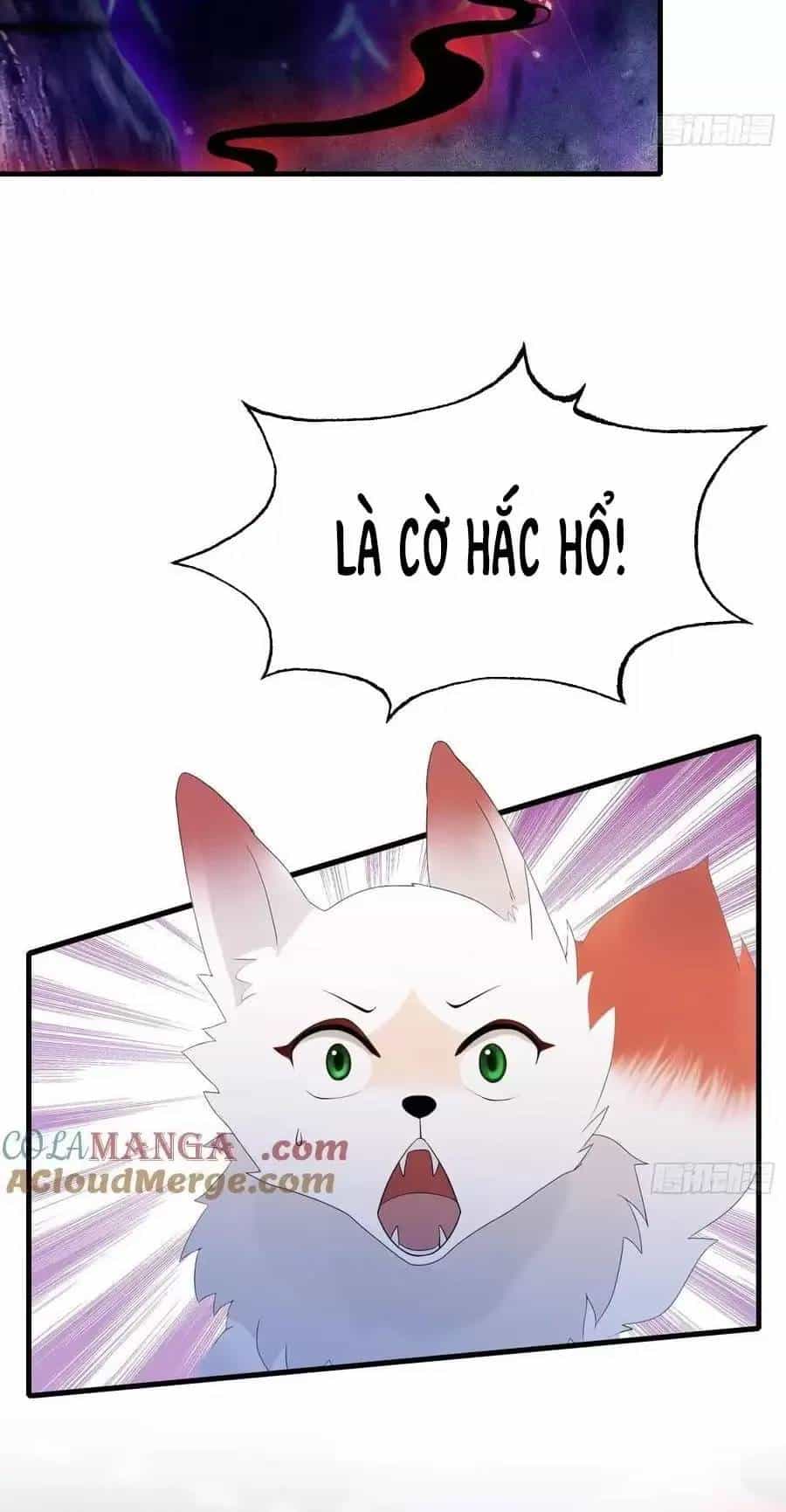 Hoá Ra Ta Đã Vô Địch Từ Lâu - Chương 98 - ảnh 40