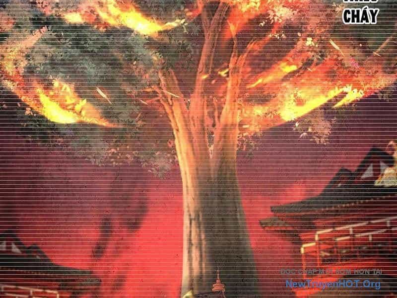 Hoá Ra Ta Là Lão Tổ Ma Đạo? - Chương 102 - ảnh 32