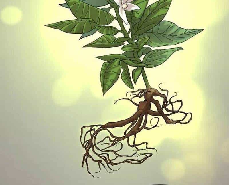 Hoa Sơn Tái Khởi - Chương 115 - ảnh 16