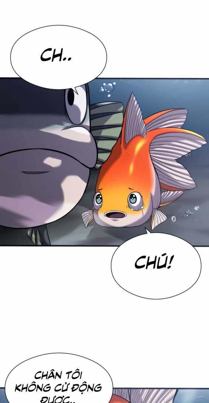 Hoá Thân Thành Cá - Chương 21 - ảnh 51