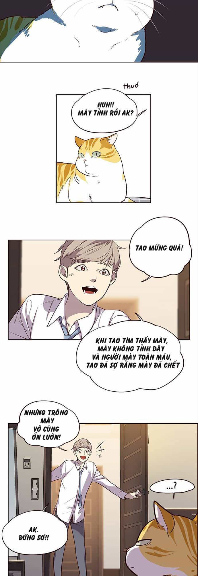 Hoá Thân Thành Mèo - Chương 1 - ảnh 29