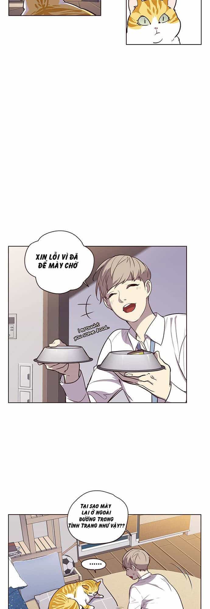 Hoá Thân Thành Mèo - Chương 1 - ảnh 31