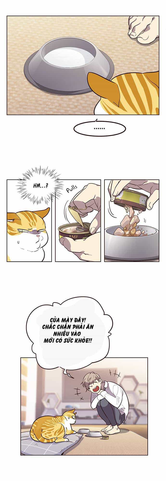 Hoá Thân Thành Mèo - Chương 1 - ảnh 33