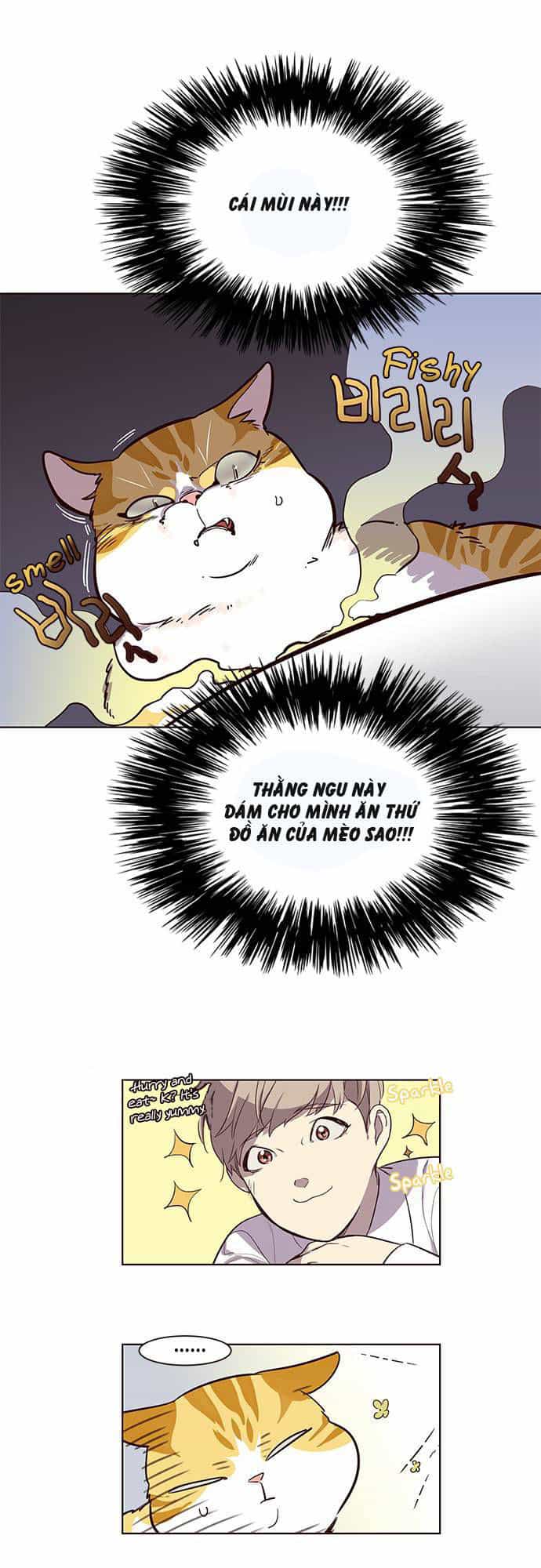 Hoá Thân Thành Mèo - Chương 1 - ảnh 34