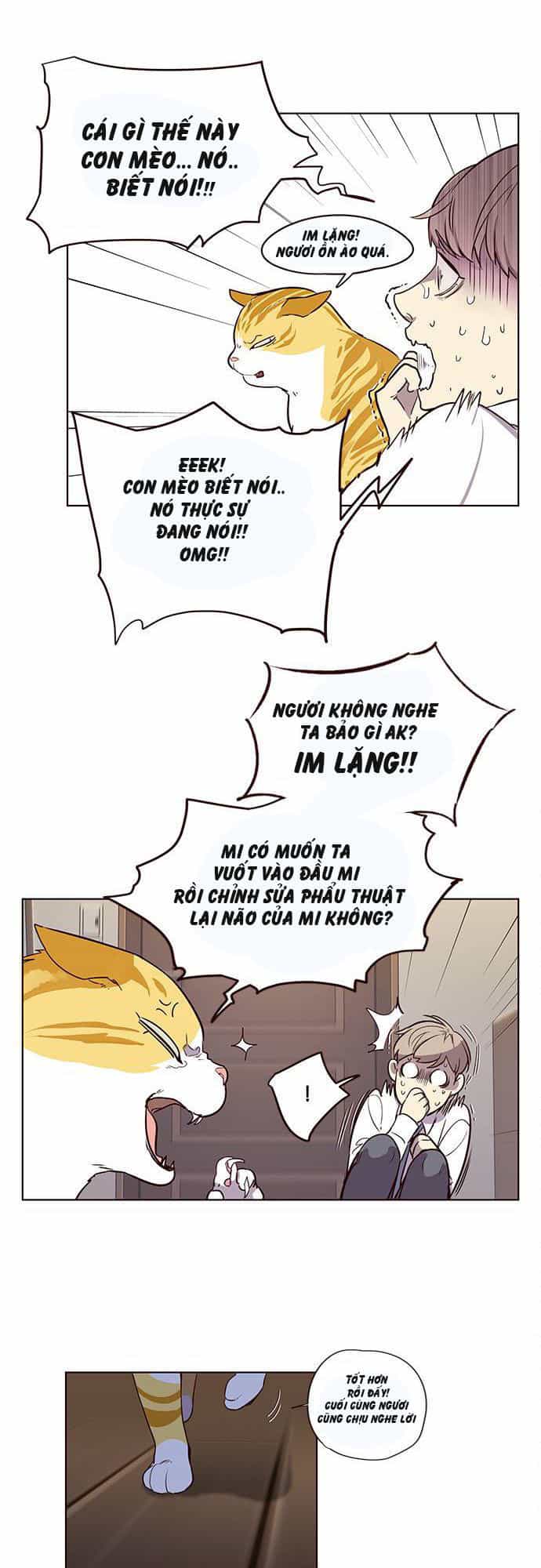 Hoá Thân Thành Mèo - Chương 1 - ảnh 39