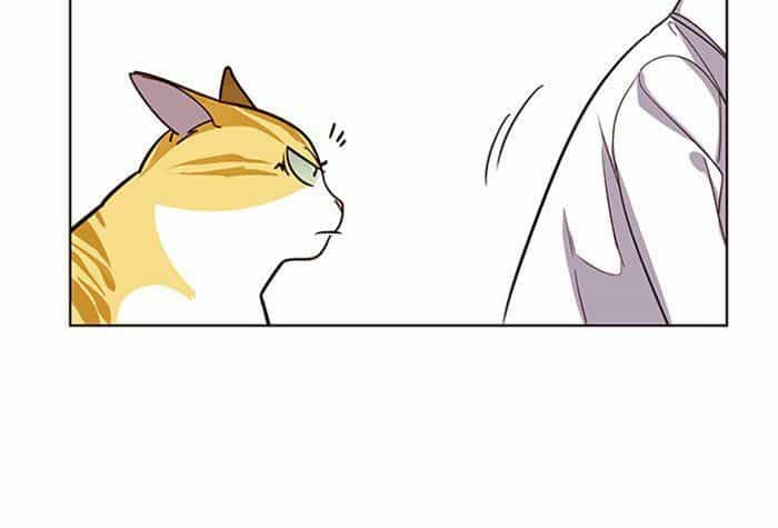 Hoá Thân Thành Mèo - Chương 10 - ảnh 22