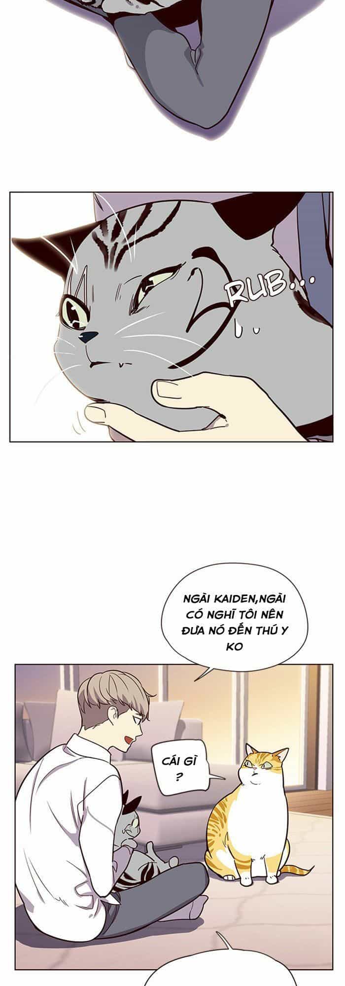 Hoá Thân Thành Mèo - Chương 10 - ảnh 25