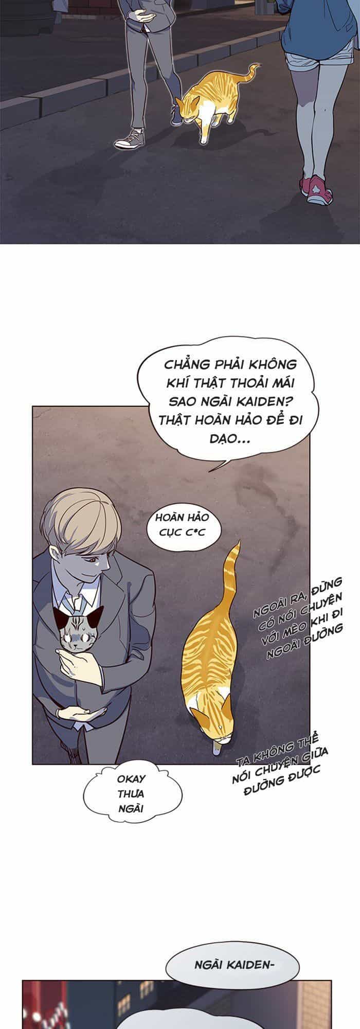 Hoá Thân Thành Mèo - Chương 10 - ảnh 35
