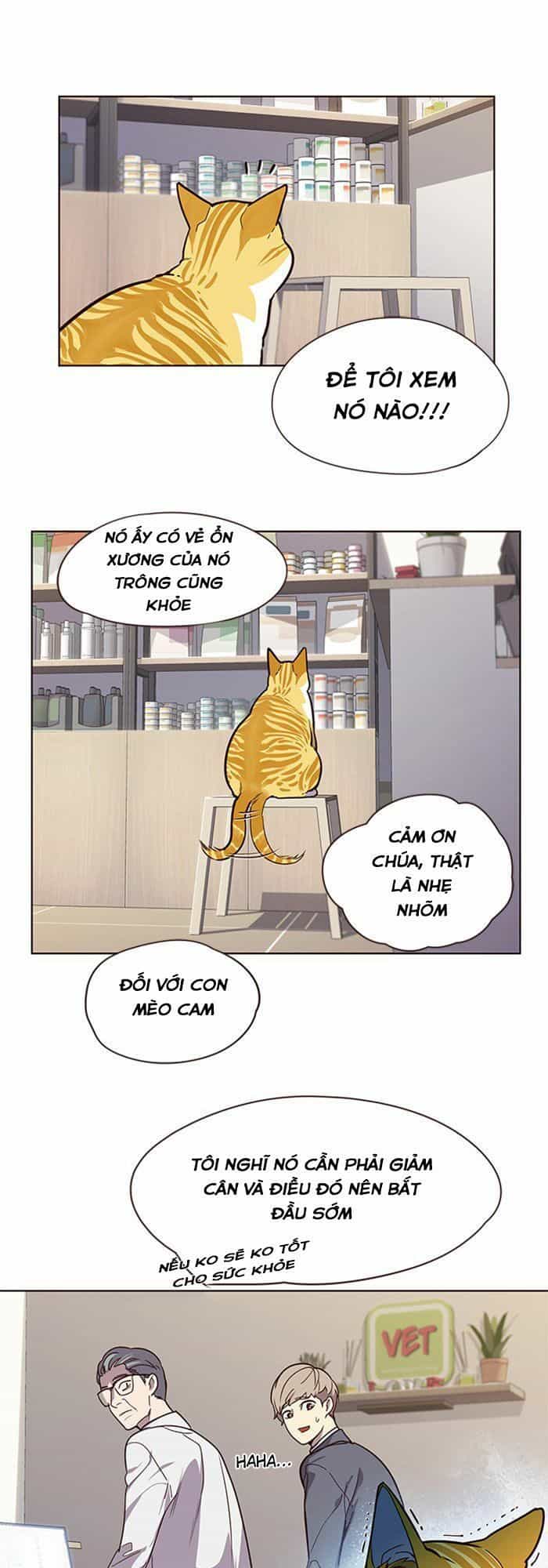 Hoá Thân Thành Mèo - Chương 10 - ảnh 43