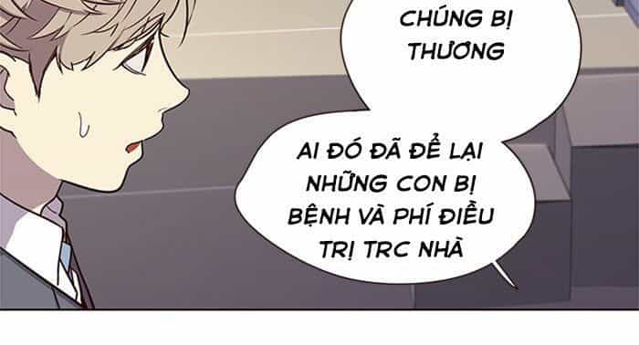 Hoá Thân Thành Mèo - Chương 10 - ảnh 46