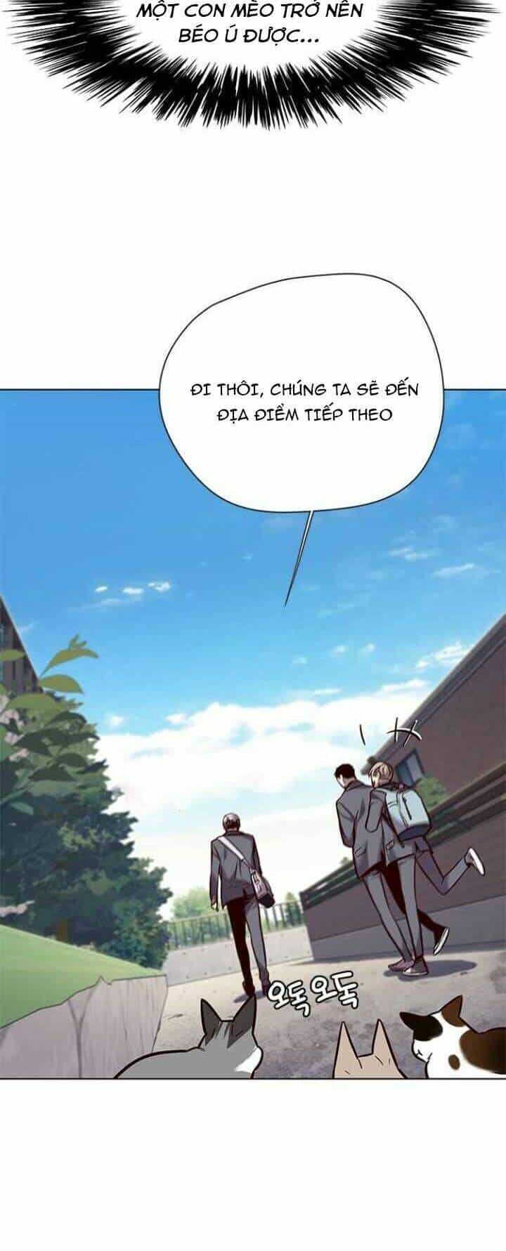 Hoá Thân Thành Mèo - Chương 100 - ảnh 19