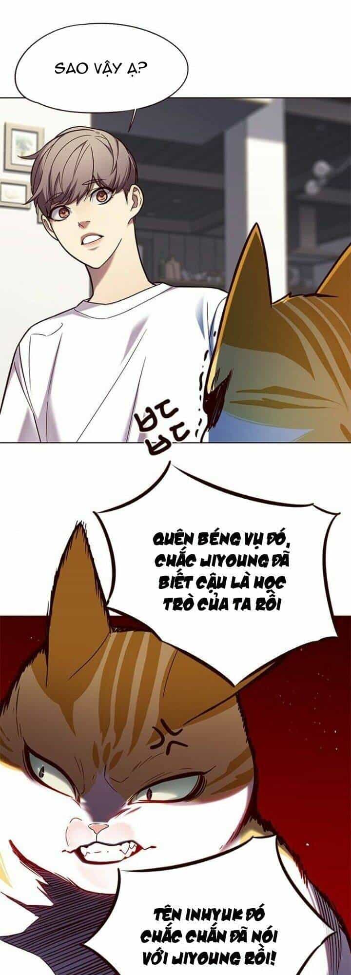 Hoá Thân Thành Mèo - Chương 105 - ảnh 18