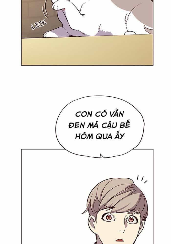 Hoá Thân Thành Mèo - Chương 11 - ảnh 64