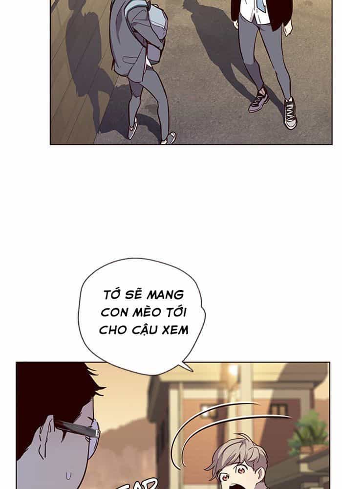 Hoá Thân Thành Mèo - Chương 11 - ảnh 71