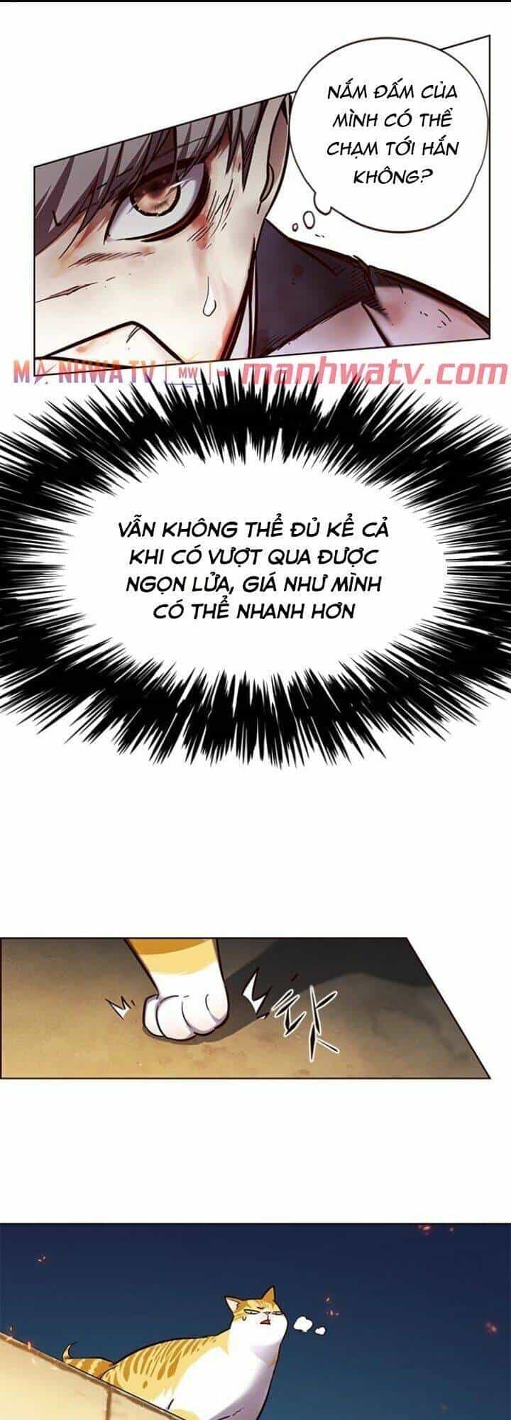 Hoá Thân Thành Mèo - Chương 110 - ảnh 45