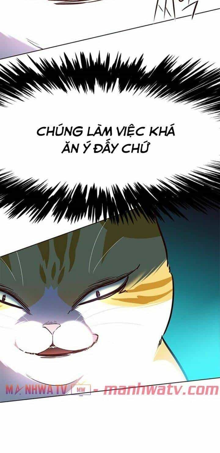 Hoá Thân Thành Mèo - Chương 110 - ảnh 80
