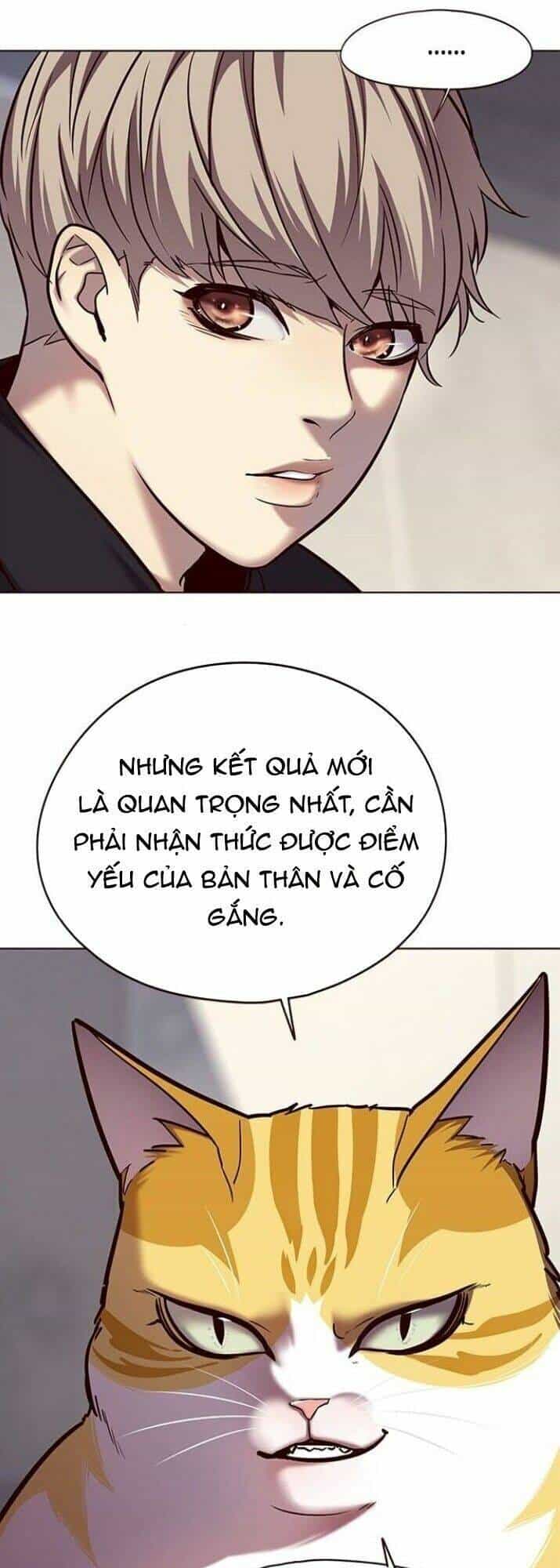 Hoá Thân Thành Mèo - Chương 116 - ảnh 19