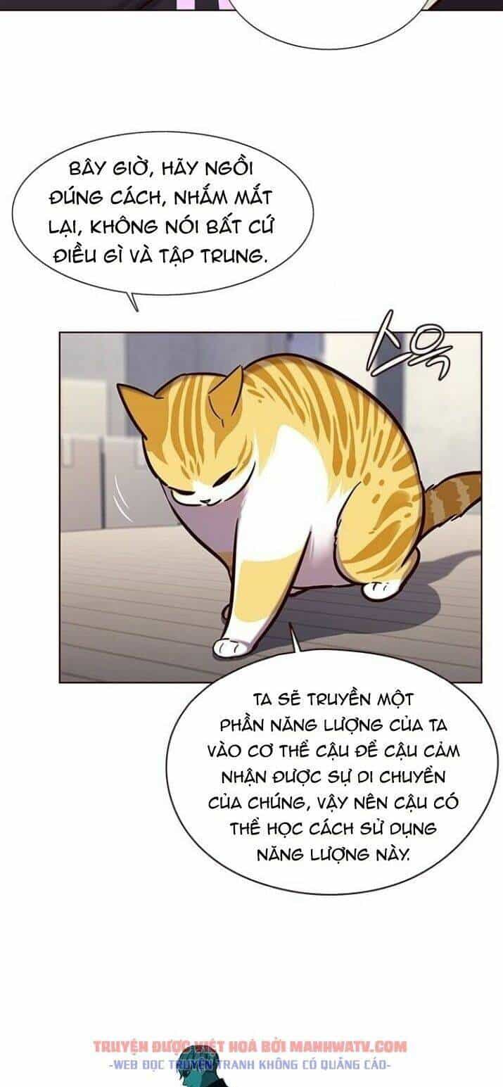 Hoá Thân Thành Mèo - Chương 116 - ảnh 21