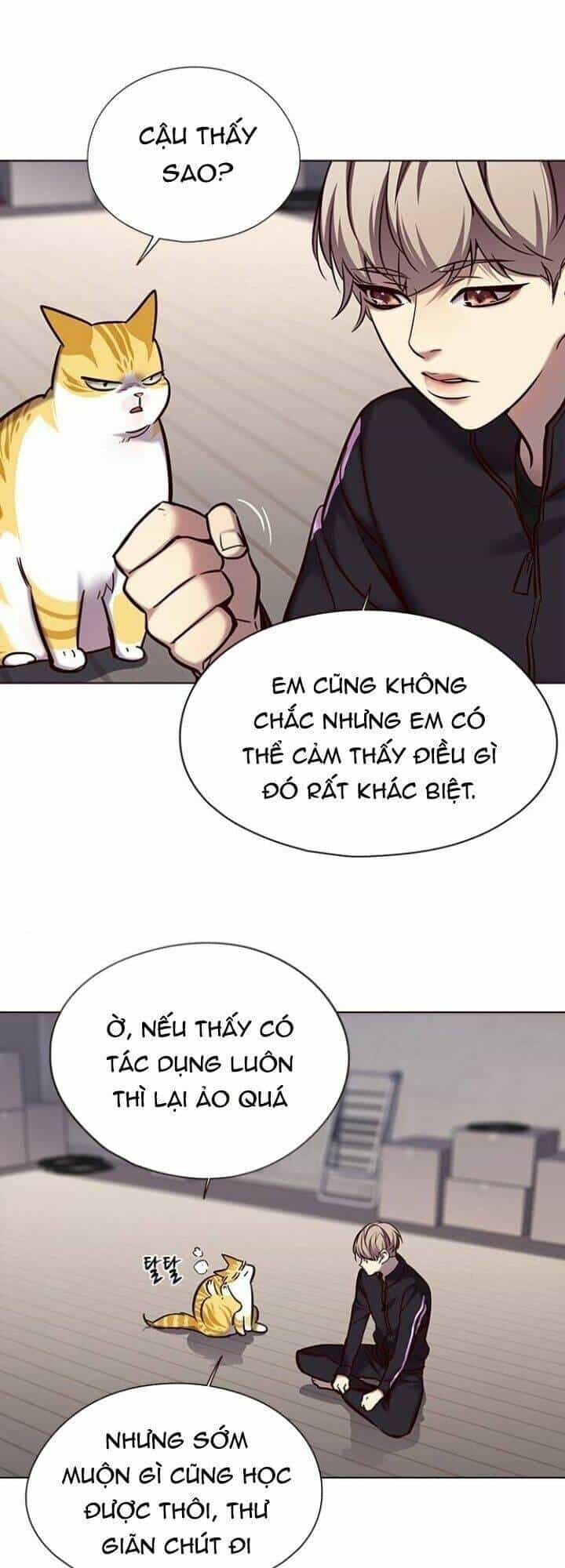 Hoá Thân Thành Mèo - Chương 116 - ảnh 32