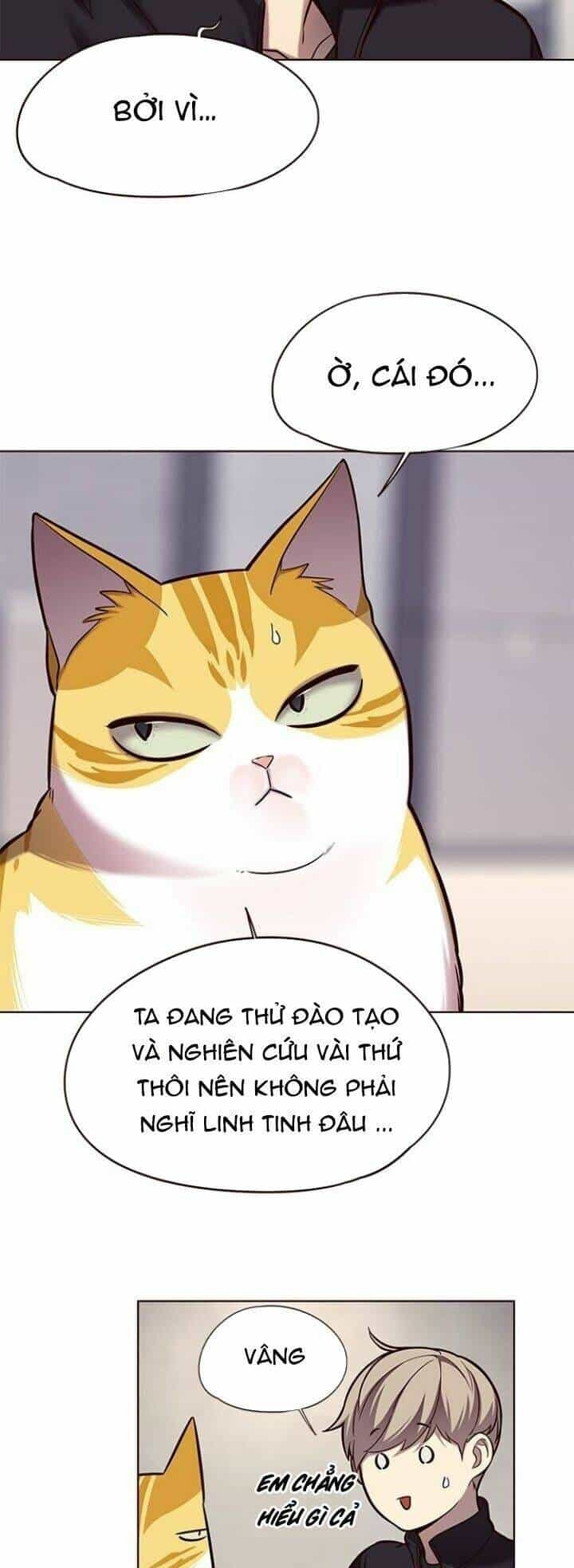 Hoá Thân Thành Mèo - Chương 116 - ảnh 34