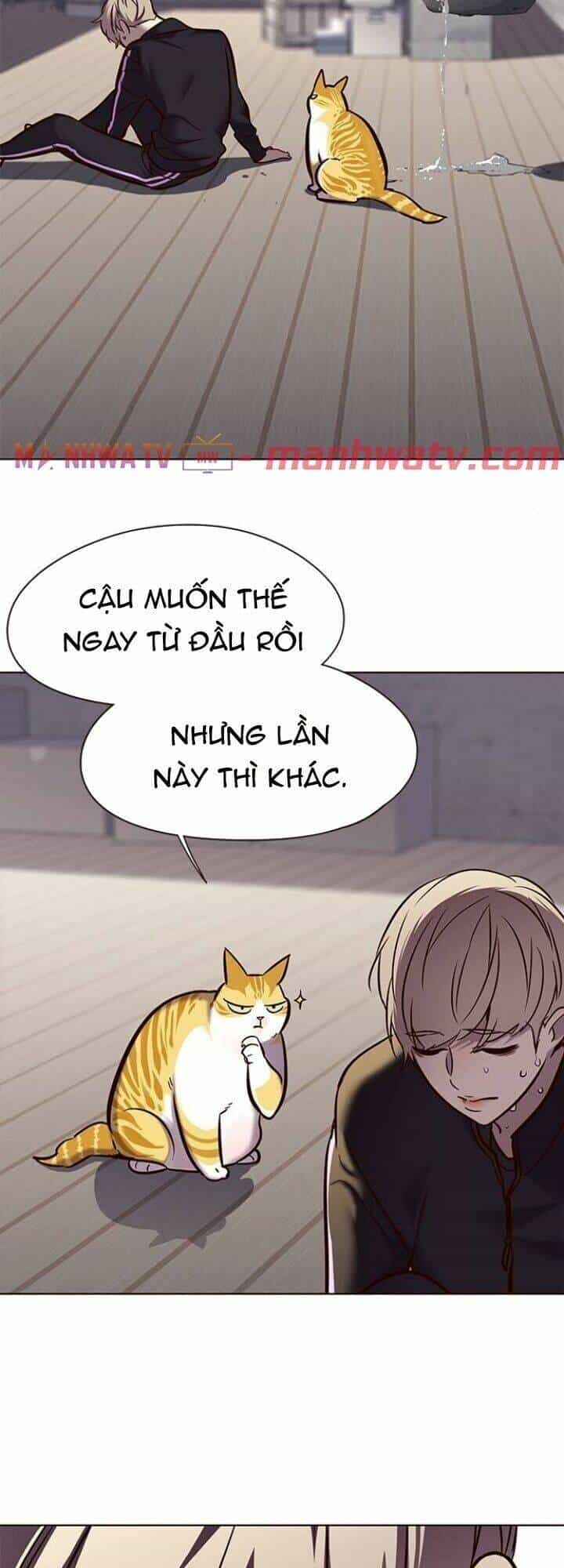 Hoá Thân Thành Mèo - Chương 116 - ảnh 7