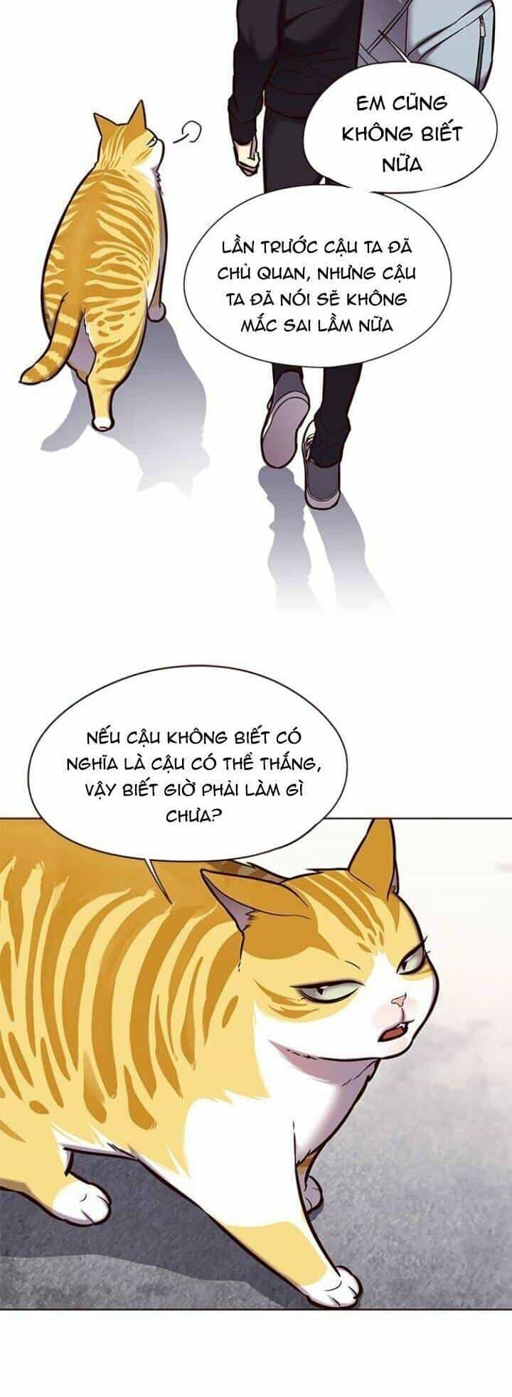 Hoá Thân Thành Mèo - Chương 117 - ảnh 36