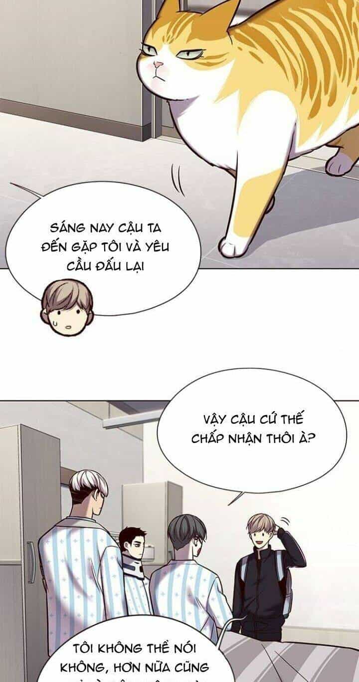 Hoá Thân Thành Mèo - Chương 117 - ảnh 42