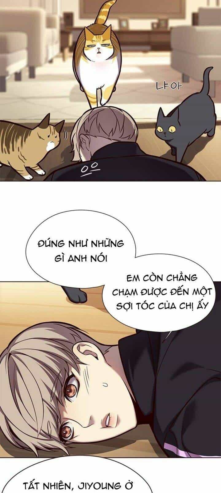 Hoá Thân Thành Mèo - Chương 118 - ảnh 42