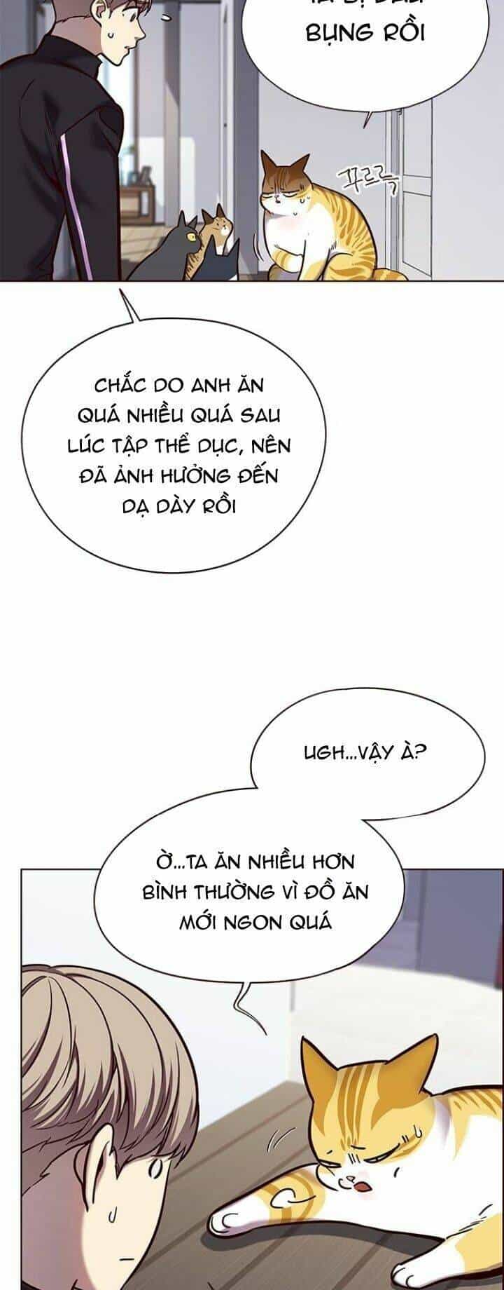 Hoá Thân Thành Mèo - Chương 119 - ảnh 5