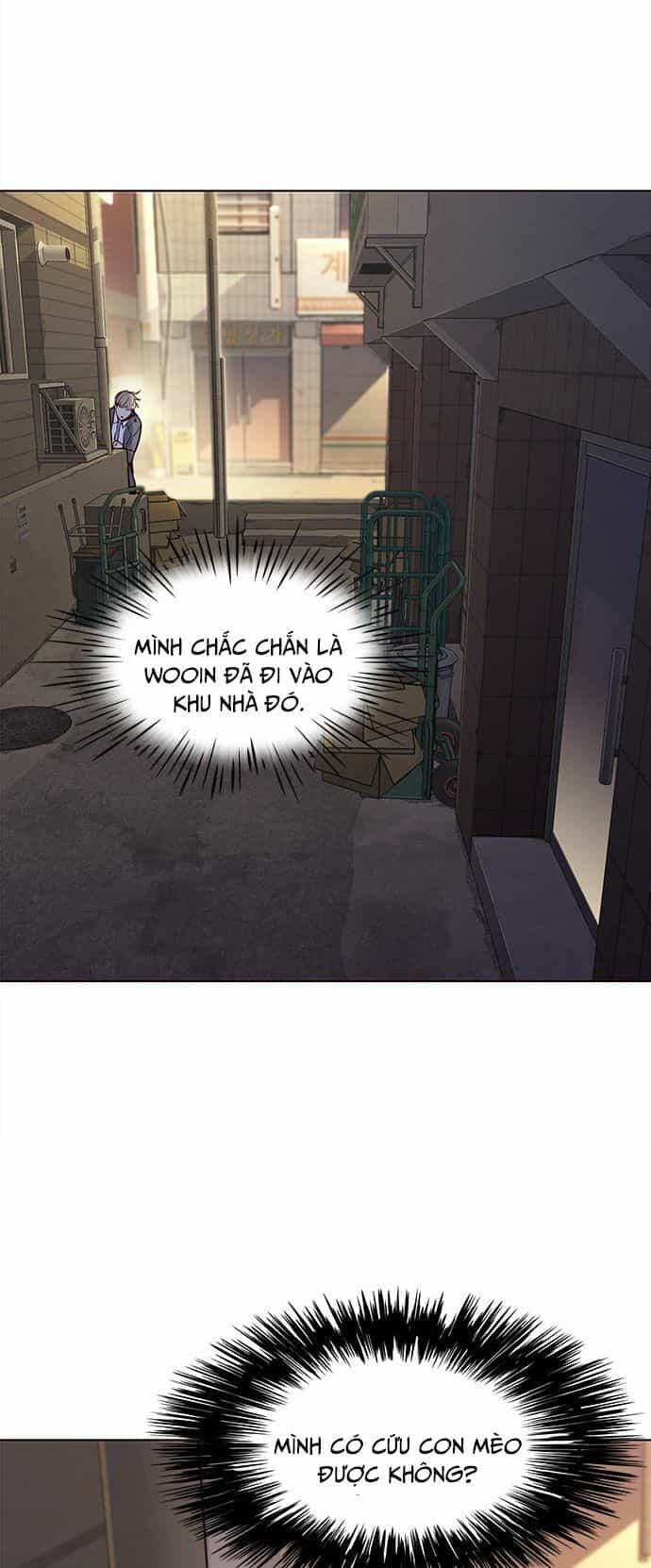 Hoá Thân Thành Mèo - Chương 12 - ảnh 66