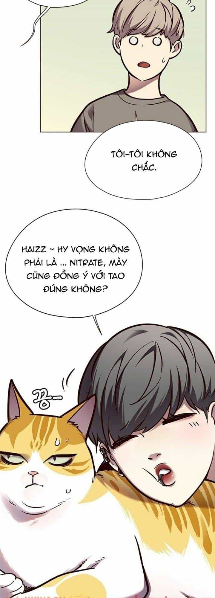 Hoá Thân Thành Mèo - Chương 124 - ảnh 31