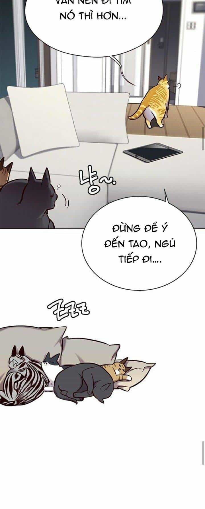 Hoá Thân Thành Mèo - Chương 125 - ảnh 64