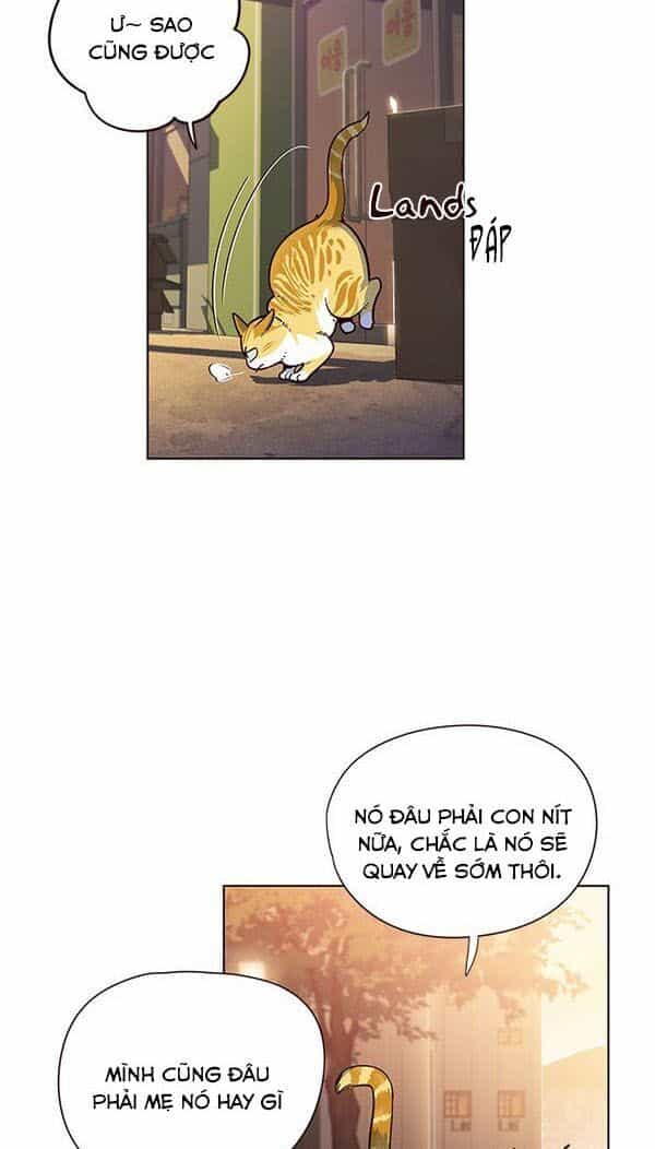 Hoá Thân Thành Mèo - Chương 13 - ảnh 4