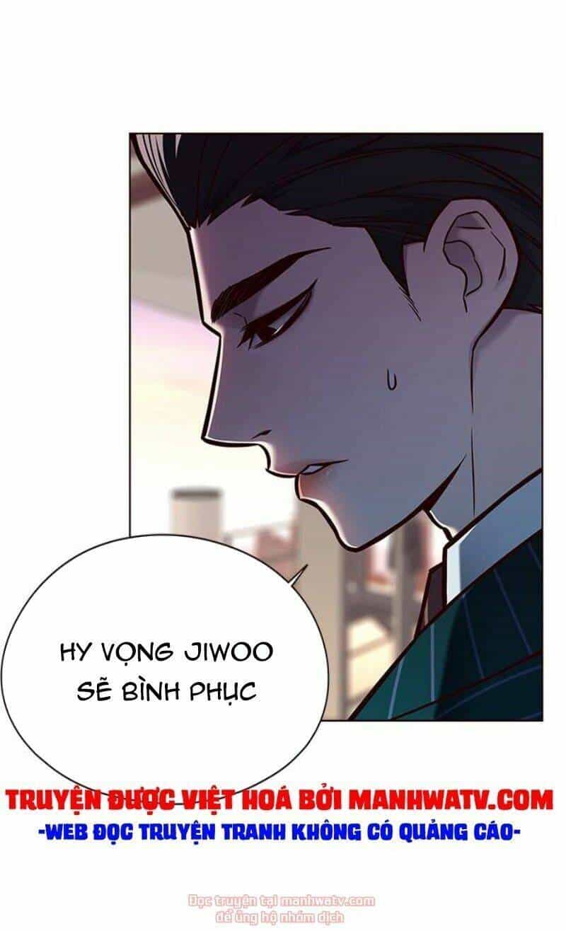 Hoá Thân Thành Mèo - Chương 131 - ảnh 55