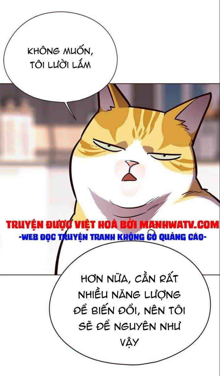 Hoá Thân Thành Mèo - Chương 139 - ảnh 19