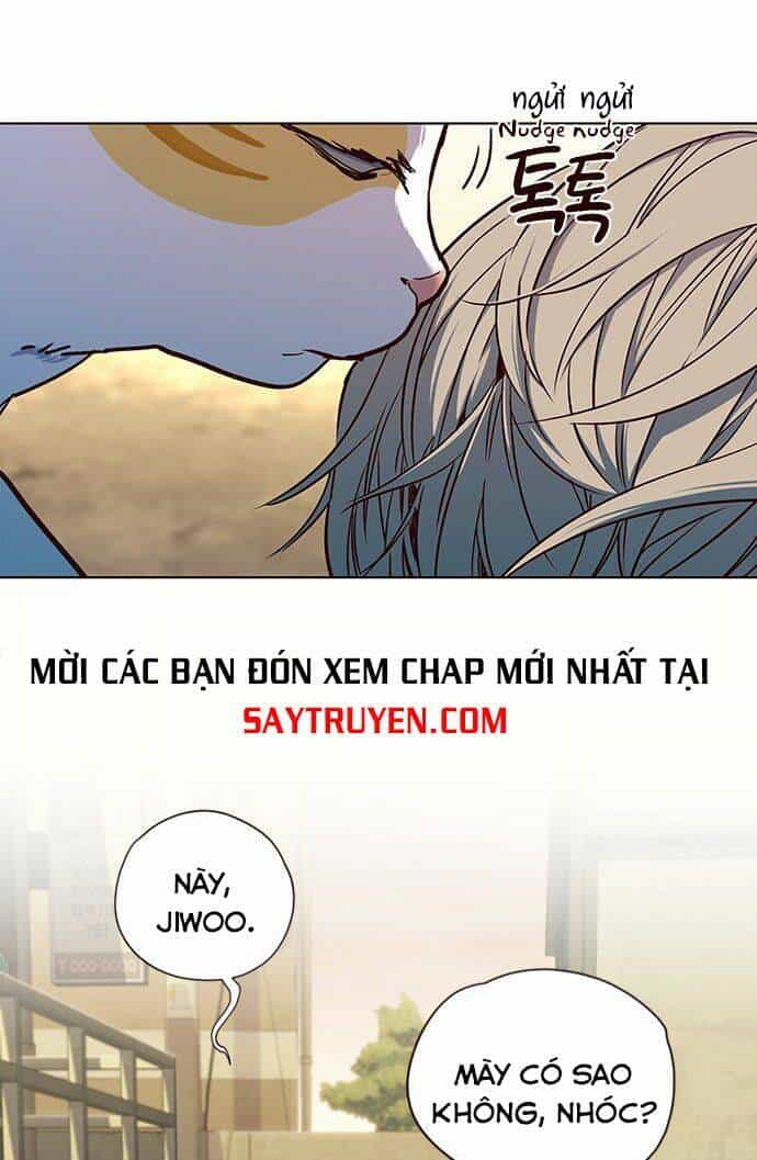 Hoá Thân Thành Mèo - Chương 14 - ảnh 17