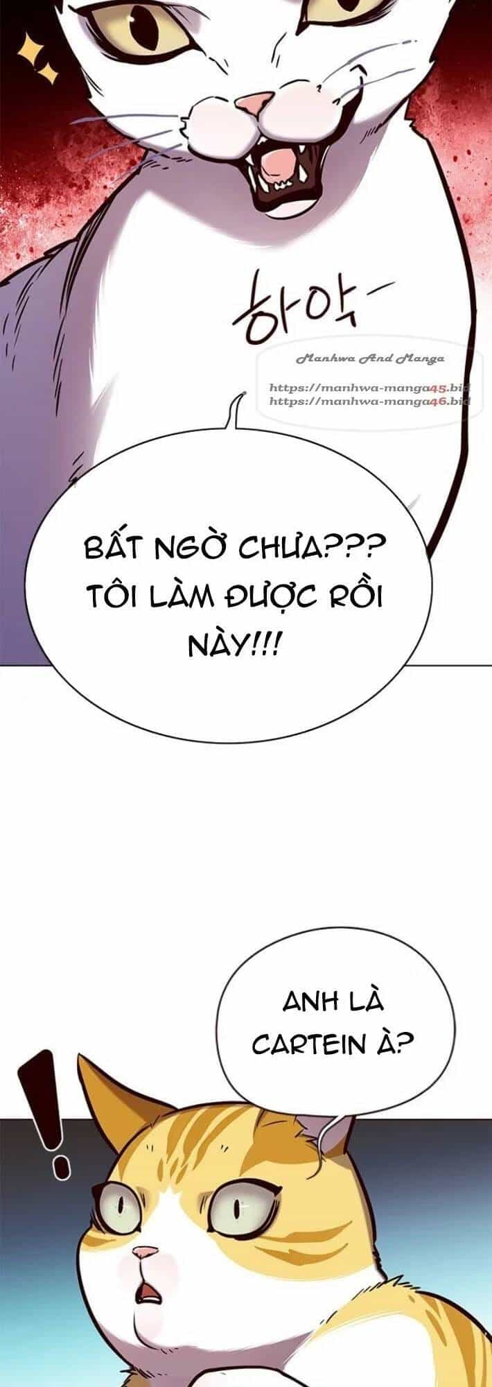 Hoá Thân Thành Mèo - Chương 141 - ảnh 62