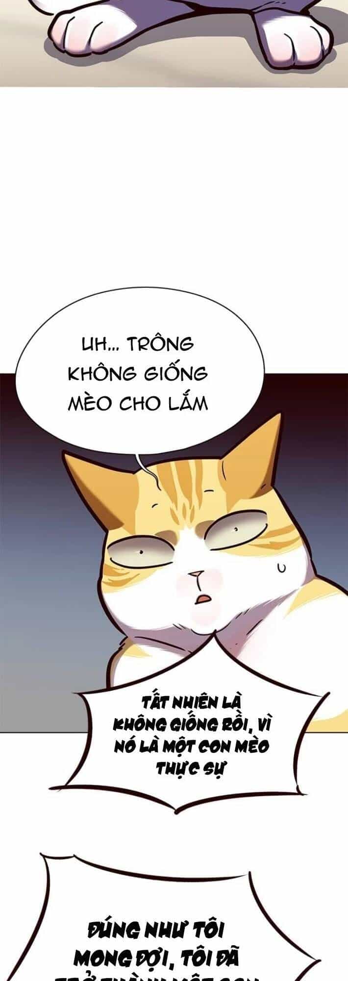 Hoá Thân Thành Mèo - Chương 141 - ảnh 66
