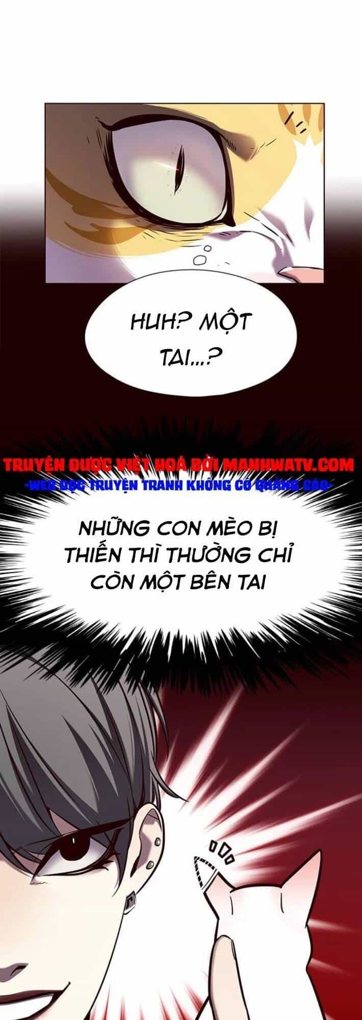 Hoá Thân Thành Mèo - Chương 141 - ảnh 68