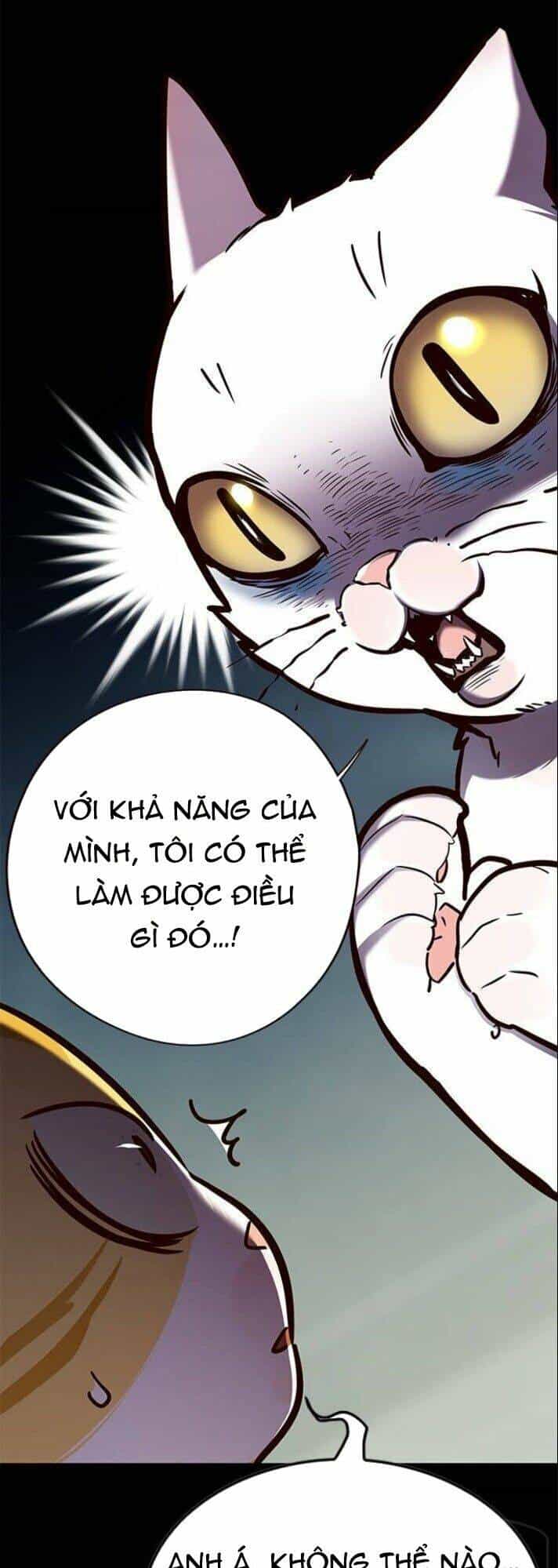Hoá Thân Thành Mèo - Chương 142 - ảnh 11
